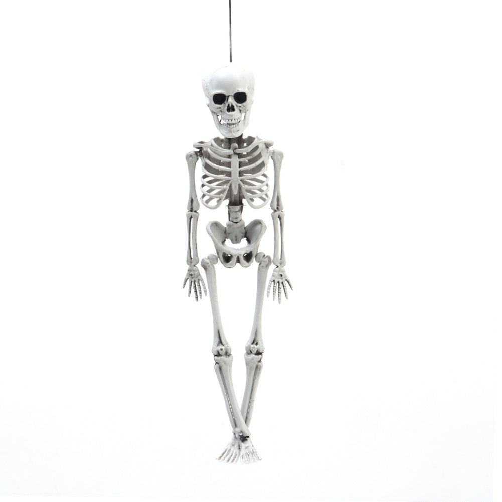Realistic Posable Hanging Skeleton for Halloween, SC0885