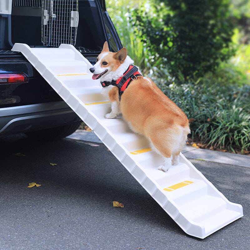 Folding portable dog stairs discount