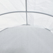 White Outdoor Walk-in Tunnel Greenhouse with Steel Frame Greenhouses Living and Home 